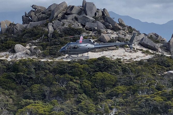 The Ultimate Lord of the Rings Combo Tour - Flying from Nelson into Kahurangi National Park