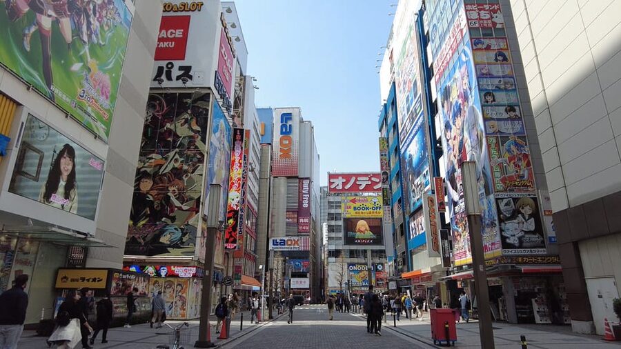 Tokyo Akihabara, Anime, Manga, Video Games & Maid Cafe Tour - Key points to know before you book
