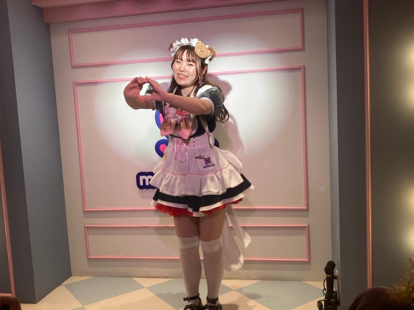 Tokyo Akihabara, Anime, Manga, Video Games & Maid Cafe Tour - What the timing means for your day