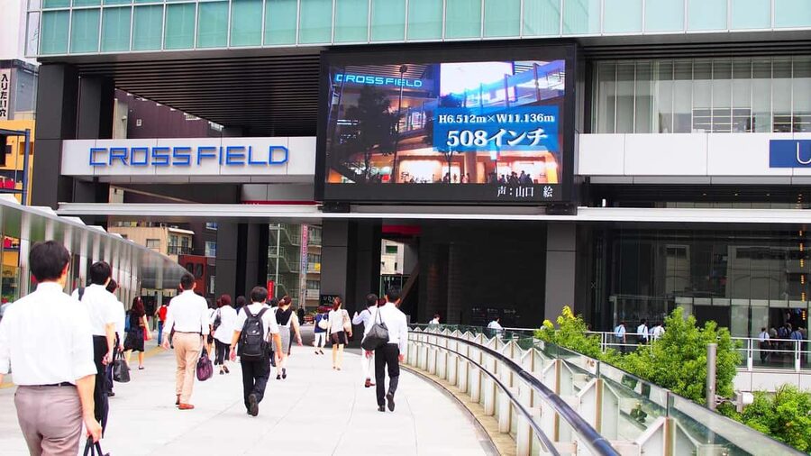 Tokyo Akihabara Anime walking tour & Maid Cafe option - Surugaya for pre-owned anime finds