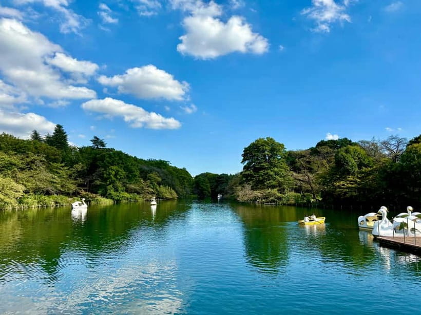 Tokyo: Kichijoji Walking Tour with Local Guide - Should you book the Kichijoji Ghibli walk?