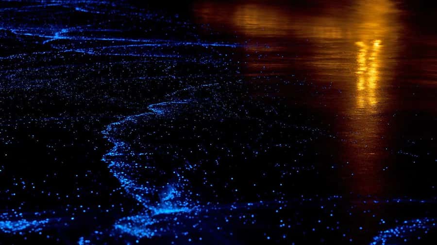 Twilight Sea Canoe to James Bond Island w/ Glowing Plankton - Ko Hong and the second paddle