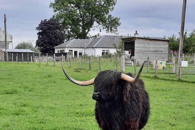 Urquhart Castle, Culloden, Clava Cairns, Loch Ness - Why this route works from Invergordon