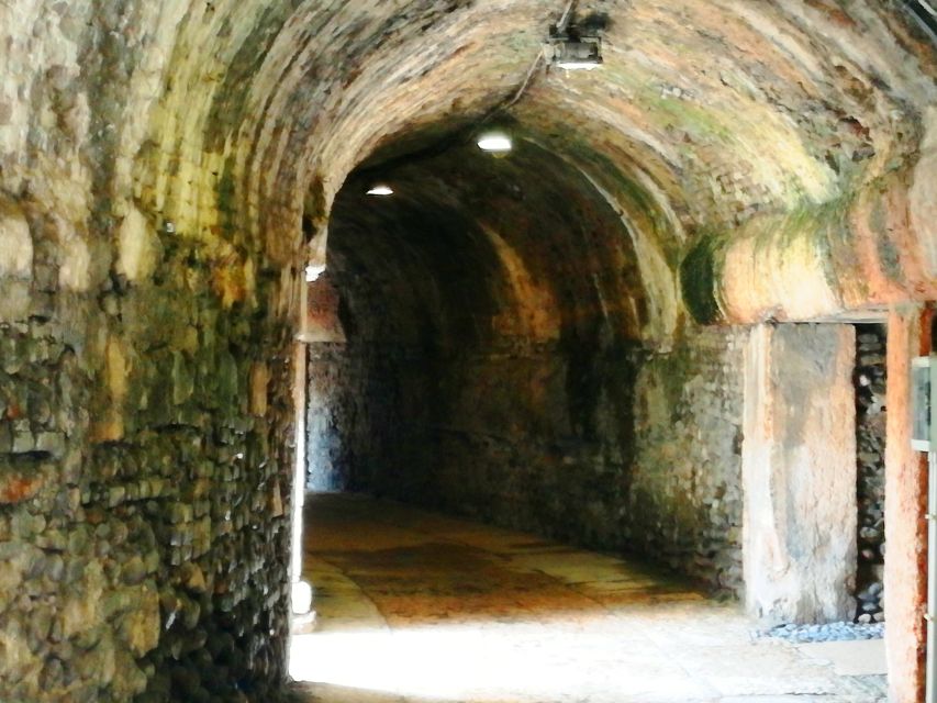 Verona: the Arena at the Gladiators' time - Following the gladiators and the wild animals