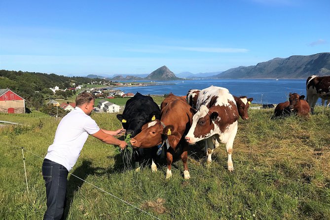 Viking Islands from Alesund: 5-Hour Private Group Tour - Giske Church and the saga island