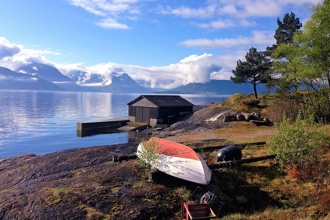 Viking Islands from Alesund: 5-Hour Private Group Tour - Art Nouveau streets and the old Borgund market town